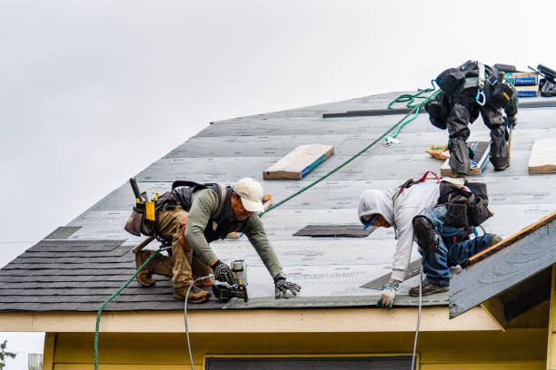 Professional Storm Damage Roof Repair technician working in Wallington, NJ